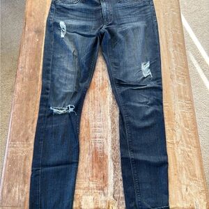 Hudson Jeans Women's Skinny Jeans - Dark Blue